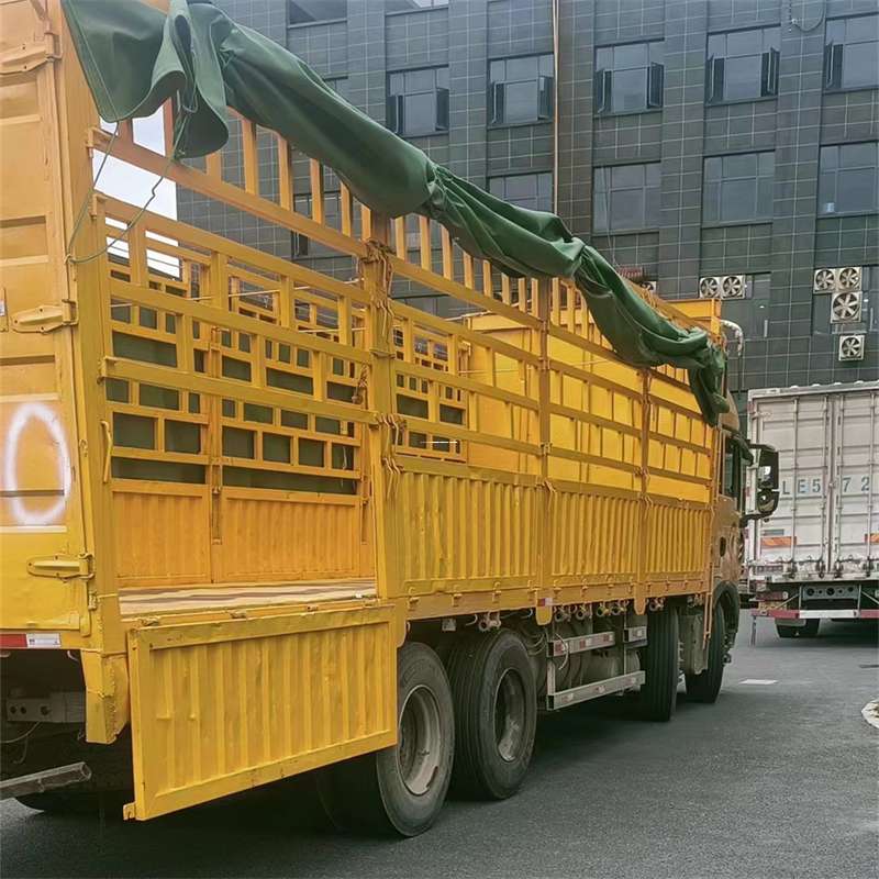 山东德州临邑县至宜宾货运专线一站式物流服务，让货物畅行无忧